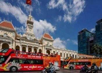 TP.HCM: Buýt du lịch 2 tầng không muốn có đối thủ cạnh tranh, Bộ Giao thông vận tải yêu cầu tránh độc quyền