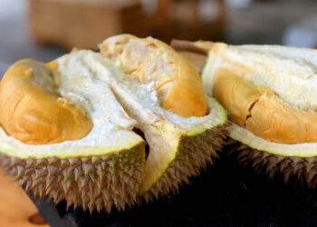 Thai durian dominates Chinese market