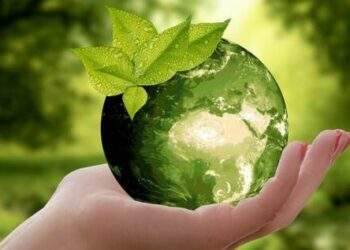 Tiếp tục hoàn thiện dự thảo Nghị định sửa đổi về xử phạt môi trường