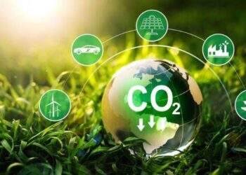 Việt Nam mới chỉ vào được thị trường tín chỉ carbon giá thấp