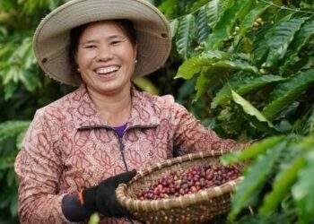 Vietnam"s F&B experiences renaissance thanks to joint efforts
