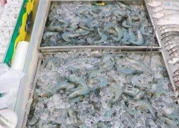 Aquatic products exports surge by 9% in 8 months