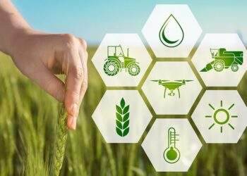 Chuyển đổi số là công việc khó, phải có quyết tâm cao, hành động quyết liệt