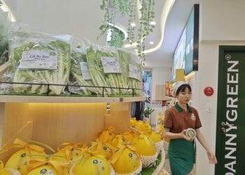 Cuộc đua mở chuỗi bán lẻ nóng trở lại