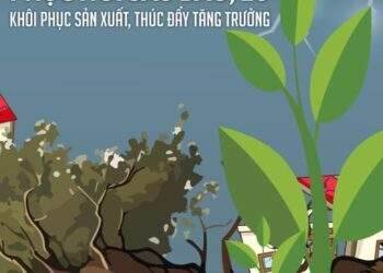 Đón đọc Tạp chí Kinh tế Việt Nam số 39-2024