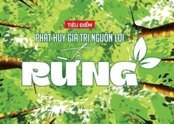 Đón đọc Tạp chí Kinh tế Việt Nam số 40-2024