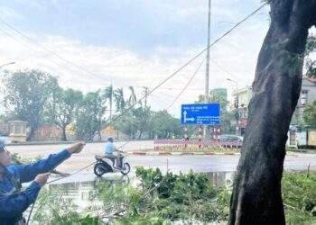 Gần 48% trạm thu phát sóng di động đã khôi phục được thông tin liên lạc