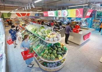 How Winmart, Bach Hoa Xanh grocery chains make first profits