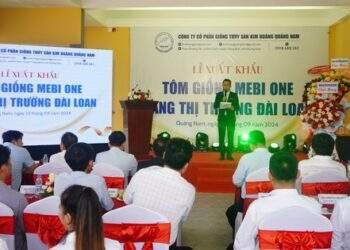 Kim Hoàng Quảng Nam xuất khẩu 2,5 triệu con tôm giống Mebi One sang Đài Loan