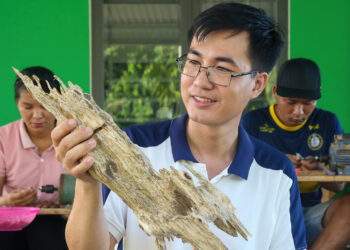 Kỹ sư về quê tìm 'vàng' trong thân cây, doanh thu nửa tỷ đồng mỗi tháng