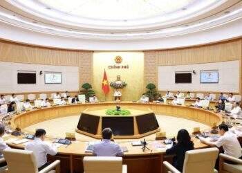 Laws must create enabling environment for development PM