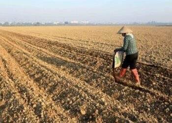 New land law opportunity to promote investment in green agriculture
