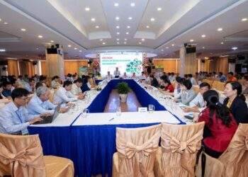 Phân bón Cà Mau tiếp sức cho nông dân đưa trái cây An Giang vươn tầm quốc tế