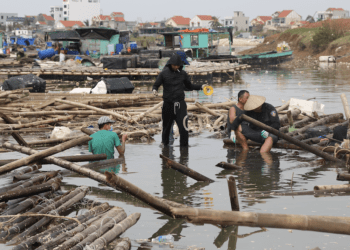 Sức cùng lực kiệt sau bão dữ, chủ lồng oằn vai ‘gánh’ nợ nghìn tỷ