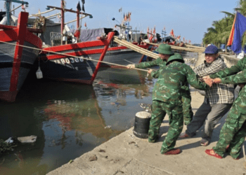 Ứng phó siêu bão, Ninh Bình - Thanh Hóa cấm biển