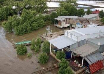 Việt Nam calls for int l cooperation in response to climate change