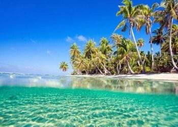 Việt Nam và EU sẽ bàn giải pháp hướng tới tương lai xanh tại GEFE 2024