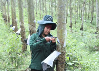Vietnam rubber exports hit $1.7B in 8 months