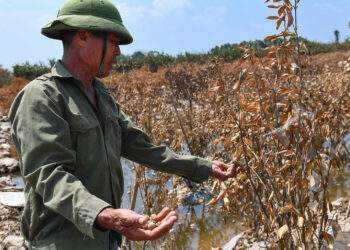 Xót lắm nhưng phải làm lại ngay thôi!