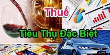 Nhiều chuyên gia đồng tình tăng thuế tiêu thụ đặc biệt thuốc lá rượu bia