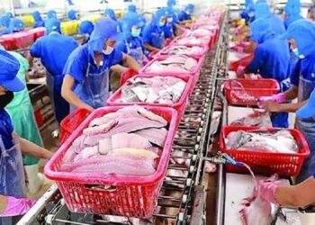 5 năm thực thi CPTPP: Nhiều tiềm năng chưa được khai thác hết