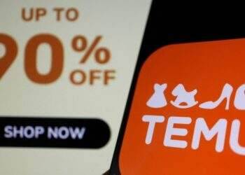Budget e-commerce platform Temu enters Vietnam, Brunei after Indonesia ban