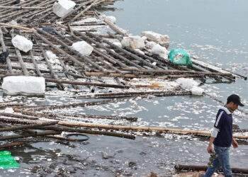 Chục nghìn tỷ 'bay' theo mưa bão, nghề nuôi trồng đối mặt con số thấp nhất 4 năm