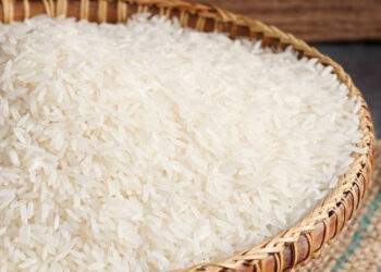 Cua 'quý tộc' tụt giá mua dễ như rau, ‘hạt ngọc’ Việt Nam đắt đỏ nhất thế giới