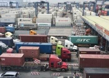 Cưỡng chế, dừng thủ tục hải quan 6 công ty do nợ thuế hàng chục tỉ đồng