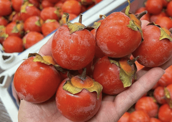 Dân buôn tiết lộ sự thật về loại hồng thạch đang ‘nhuộm đỏ’ chợ Việt