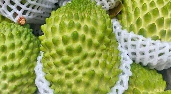 Durian custard apple prices halve as output soars