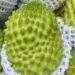 Durian custard apple prices halve as output soars