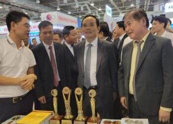 Giải pháp để Việt Nam chuyển đổi xanh hướng tới phát triển bền vững