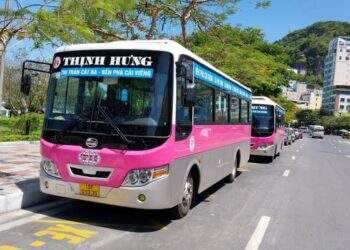 Hải Phòng bỏ quy hoạch phát triển xe buýt