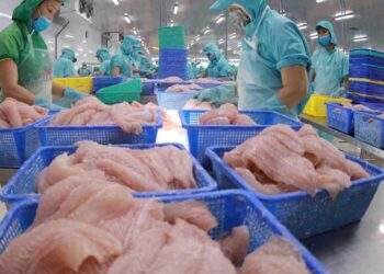 Hoa Kỳ rà soát hành chính thuế chống bán phá giá đối với 3 sản phẩm của Việt Nam