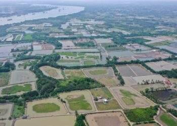 I gave up on inheriting family farm after one year in the countryside