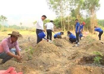 Nâng cao sức khoẻ đất để ngành trồng trọt phát triển bền vững