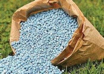 Nếu không được áp thuế VAT 5%, doanh nghiệp phân bón có nguy cơ suy giảm và ngừng sản xuất