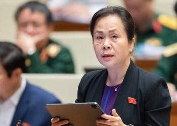 Phó Thủ tướng Hồ Đức Phớc tha thiết mong ĐBQH ủng hộ đánh thuế VAT 5% phân bón