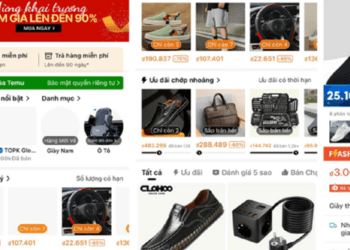 Quản lý website thương mại điện tử xuyên biên giới trên địa bàn TP.HCM gặp nhiều thách thức