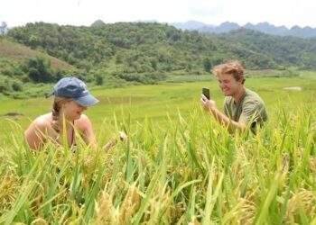 Thanh Hoá muốn hút 1,1 triệu khách đến với du lịch nông nghiệp