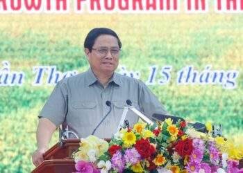 Thủ tướng: Phải thổi hồn vào cây lúa, thổi sức sống mới cho ngành lúa gạo