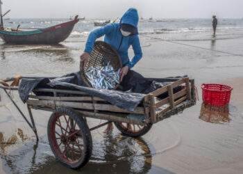 Vietnam earns over $7B from fishery exports in 9 months