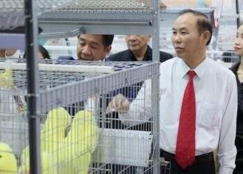 Xuất khẩu nông sản có thể đạt 61 tỉ USD