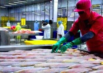 Xuất khẩu thủy sản 9 tháng đạt hơn 7 tỷ USD, mặt hàng tôm và cá tra tăng trưởng bứt phá
