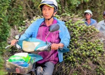 ‘Công thức’ lặp nhiều lần, nông dân 'hay quên'