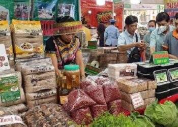 Cơ hội cho doanh nghiệp khai thác thị trường nội địa và xuất khẩu