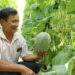 Đồng Nai phát triển nông nghiệp ứng dụng công nghệ cao