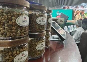Giá cà phê bật tăng dữ dội