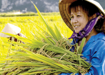 Giảm bất bình đẳng để phát triển bền vững